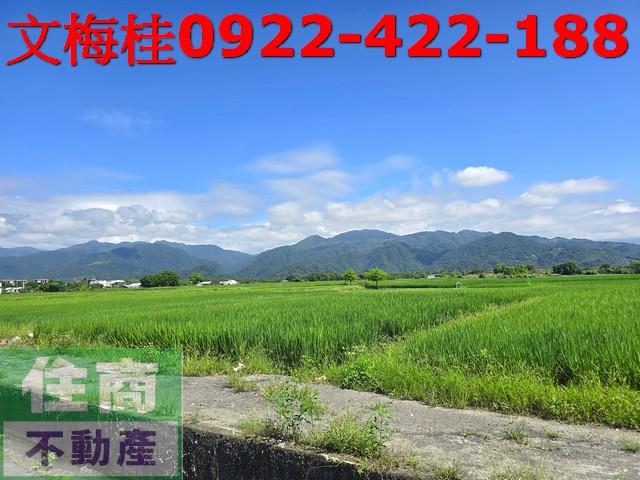 宜蘭三星農地-2
