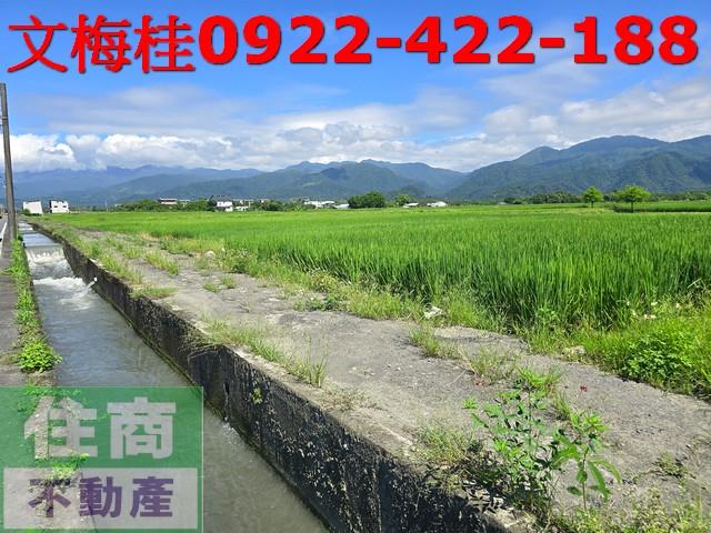 宜蘭三星農地-3