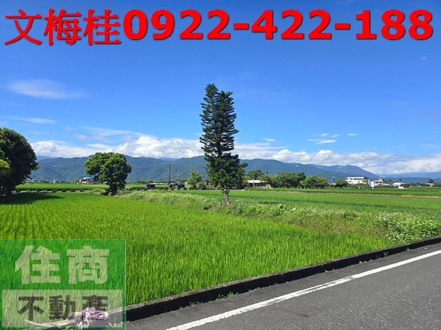 宜蘭三星農地-4