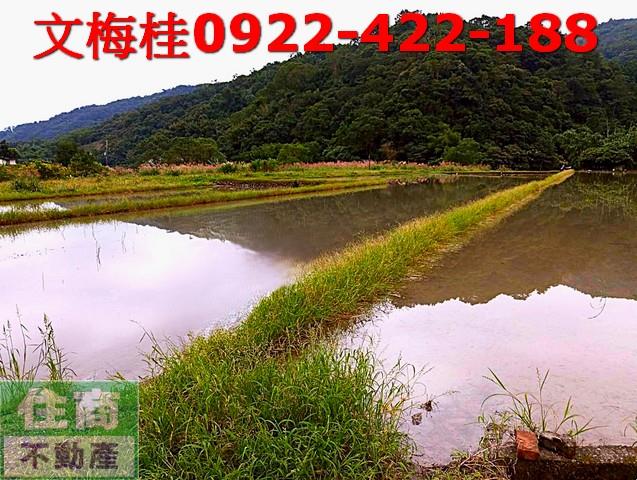 員山農地-2