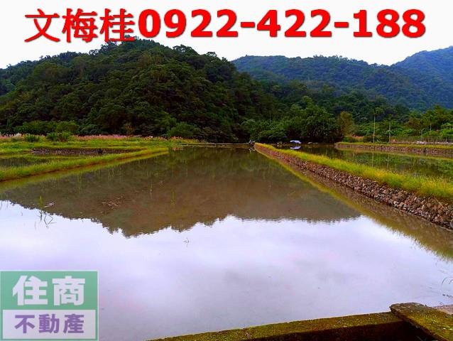 員山農地-3