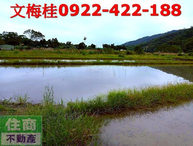 員山農地-5