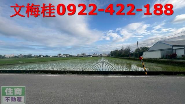 宜蘭農地宜蘭建地壯圍農地