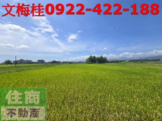 宜蘭農地宜蘭建地員山農地