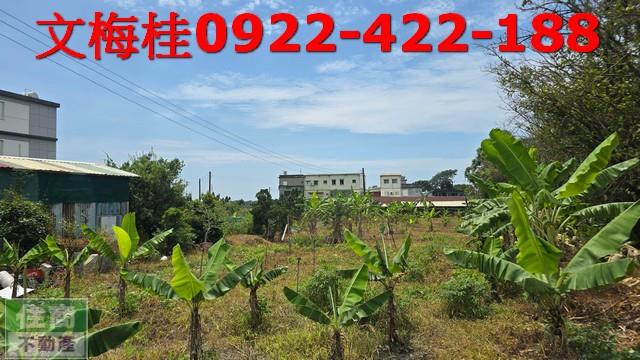 宜蘭農地宜蘭建地頭城農地