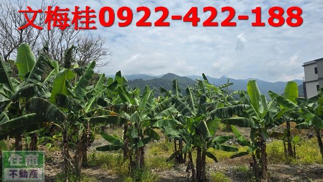 頭城農地-2