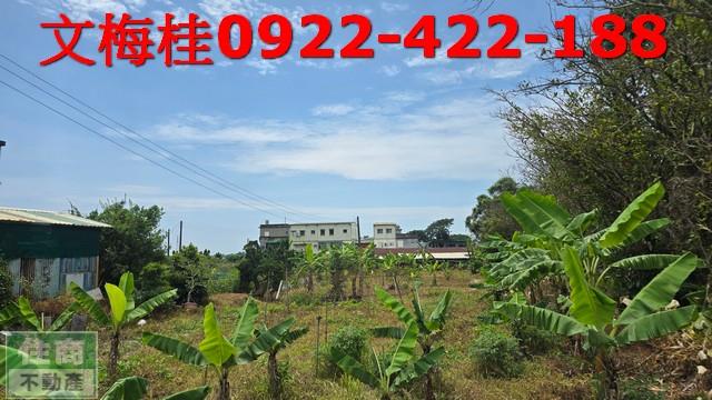 頭城農地-5