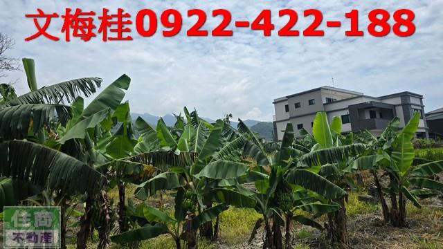 頭城農地-7