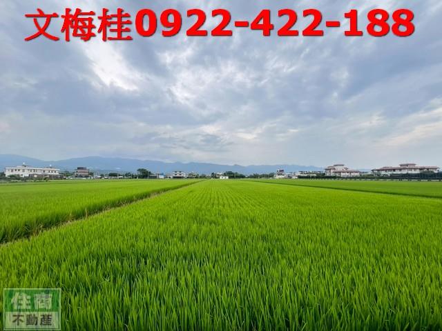 宜蘭農地宜蘭建地壯圍農地