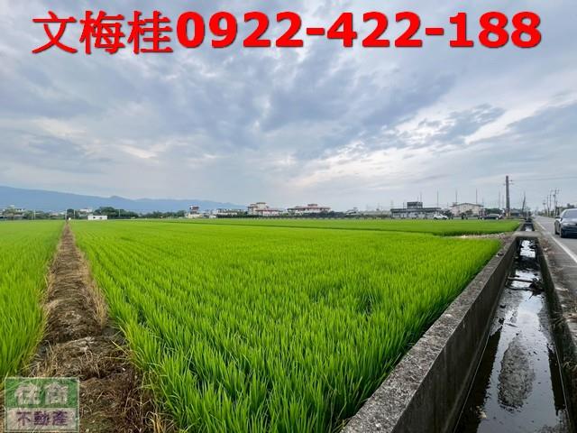 壯圍農地-2