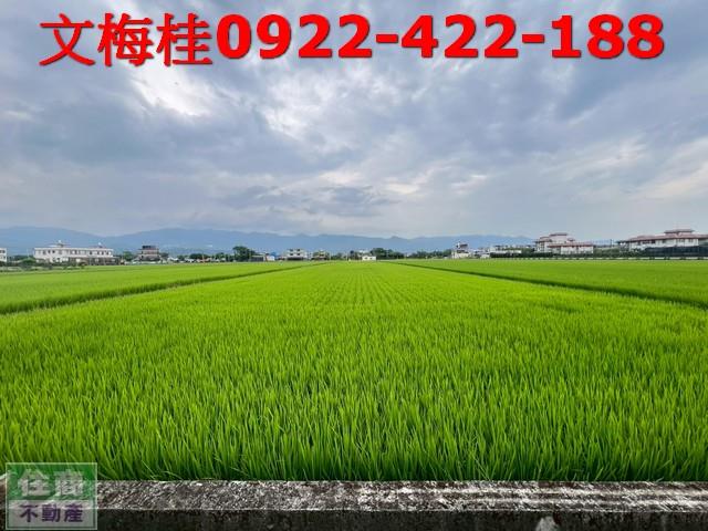 壯圍農地-3