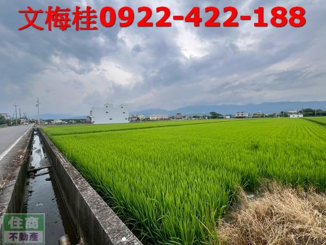 壯圍農地-1