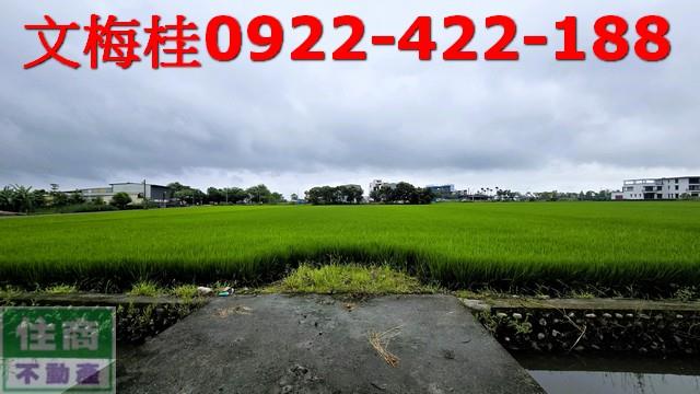 礁溪農地-1