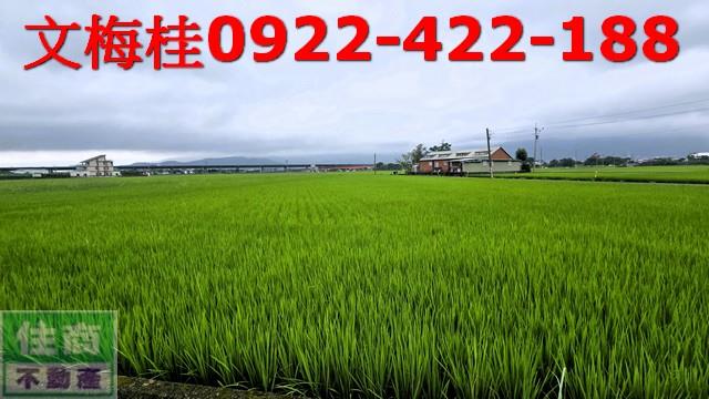 礁溪農地-3