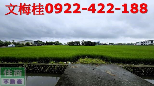 礁溪農地-4