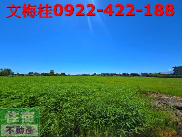 宜蘭農地宜蘭建地壯圍農地