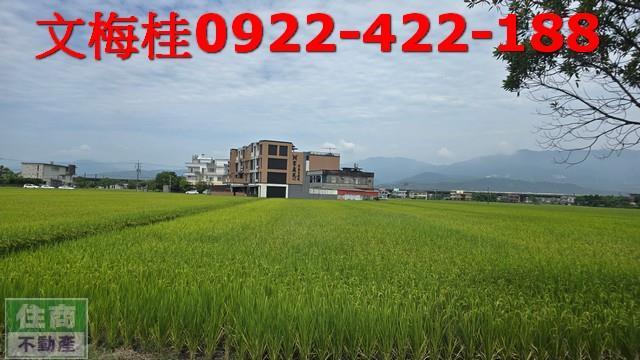 壯圍農地-1