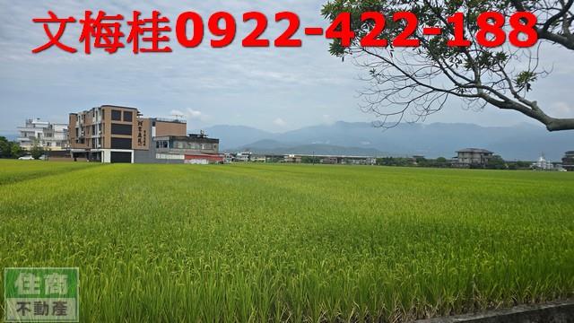 壯圍農地-2