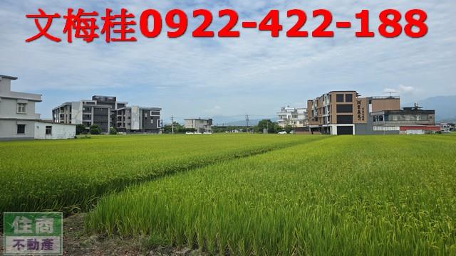壯圍農地-3
