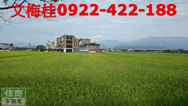 壯圍農地-5