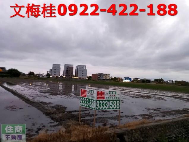 宜蘭農地-0