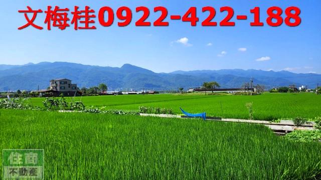 宜蘭農地-0