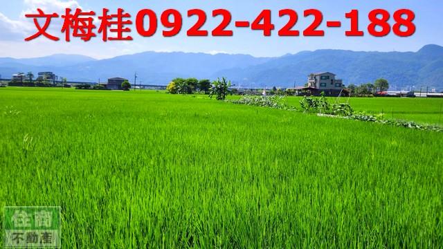 宜蘭農地-1