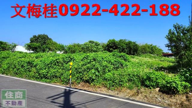宜蘭農地-2