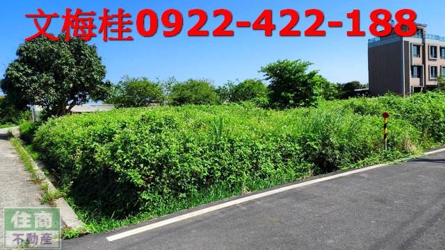 宜蘭農地-3