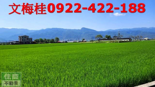 宜蘭農地-5