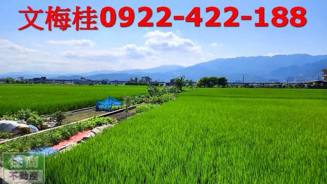 宜蘭農地-6