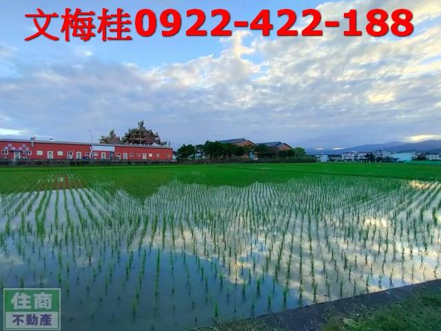 宜蘭農地-9