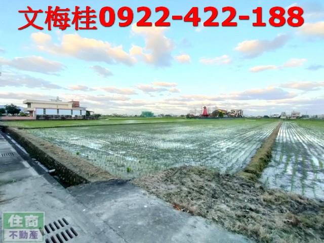 宜蘭農地-0