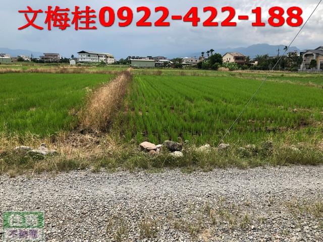 宜蘭農地-0