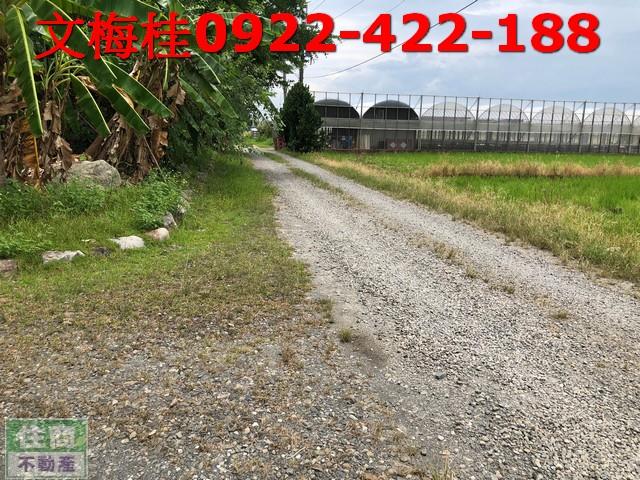 宜蘭農地-1