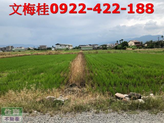 宜蘭農地-3