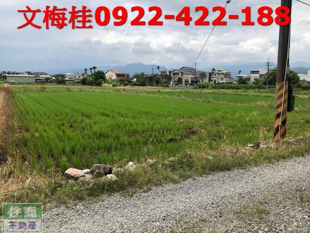 宜蘭農地-4