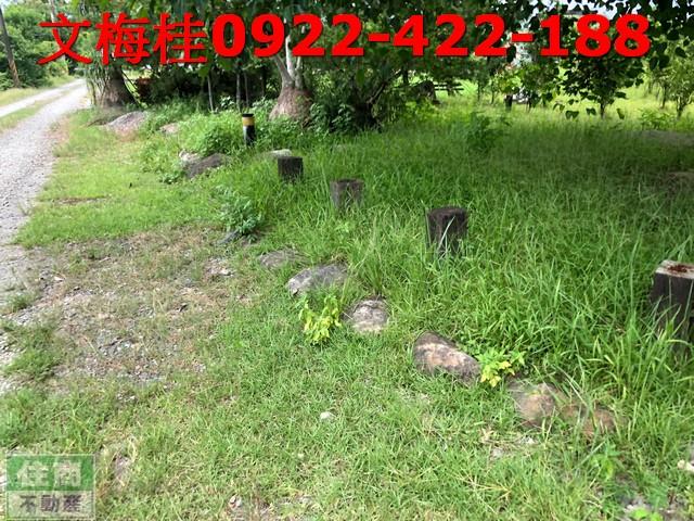宜蘭農地-5