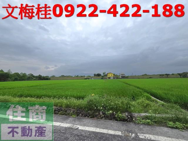 宜蘭農地-1