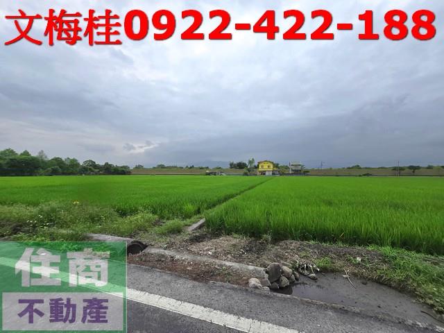 宜蘭農地-2