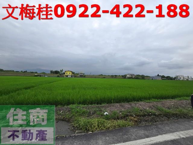 宜蘭農地-4
