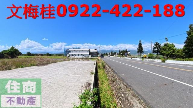 宜蘭農地宜蘭建地壯圍農地