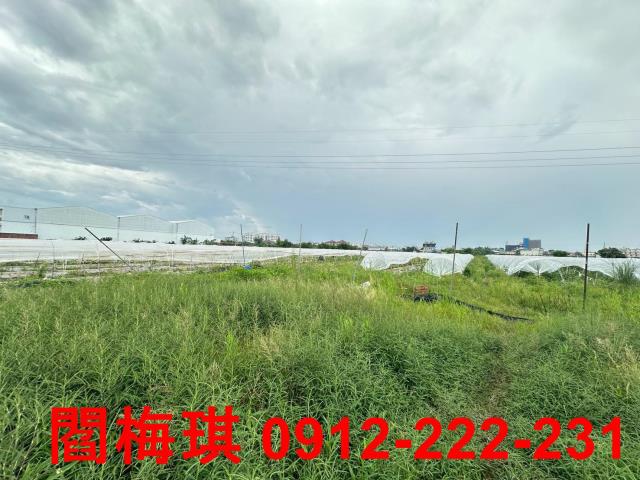 新市農地-2