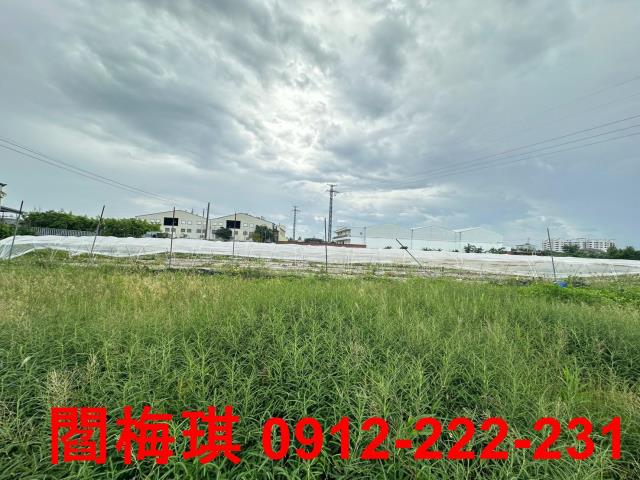 新市農地-1
