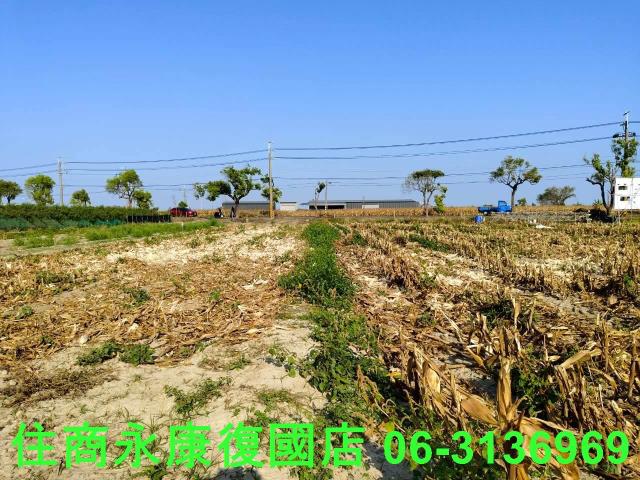 佳里農地-9