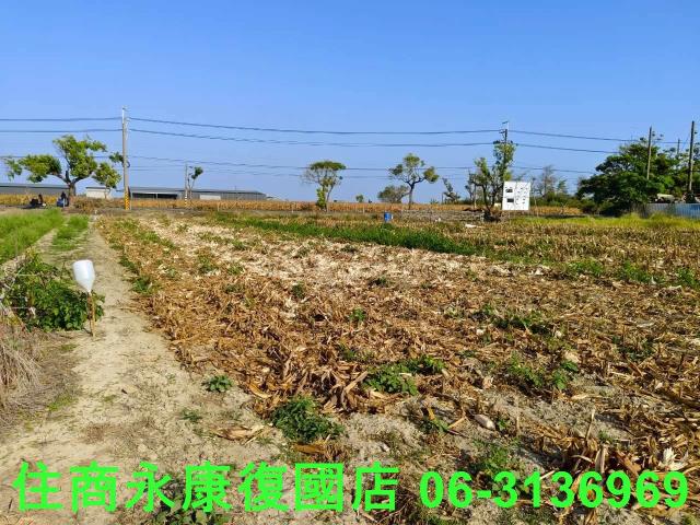 佳里農地-10
