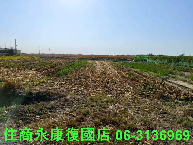佳里農地-11