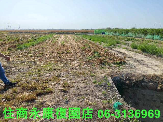 佳里農地-2