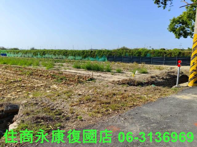 佳里農地-3