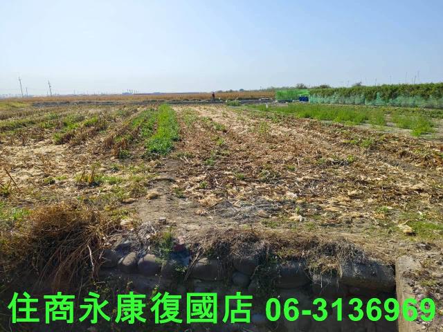 佳里農地-4
